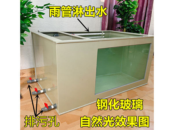 暫養池